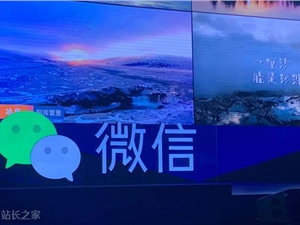 “疫”如既往 平安普惠线上金融“不打烊”