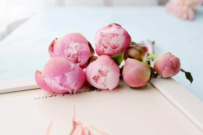 银行是根据什么来调整房贷利率的