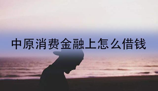 中原消费金融上怎么借钱？平台贷款申请步骤