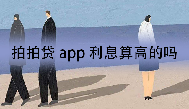 拍拍贷利息算高的吗？年息大概有多少？