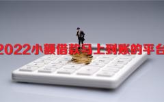 2022小额借款马上到账的平台 秒批秒通过的小额贷款