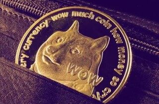 狗币下载地址最新 狗狗币v5.3.3最新专业版下载软件