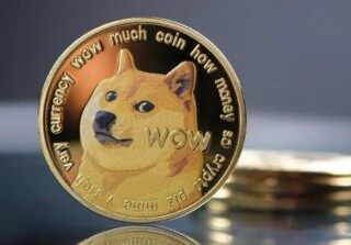 狗狗手机app软件下载 狗狗币手机端安卓版下载