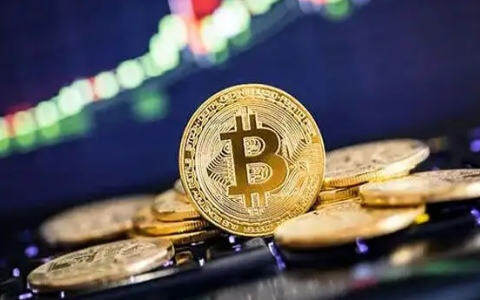 美国比特币交易平台有哪些？比特币交易平台okcoin-第5张图片-欧意下载