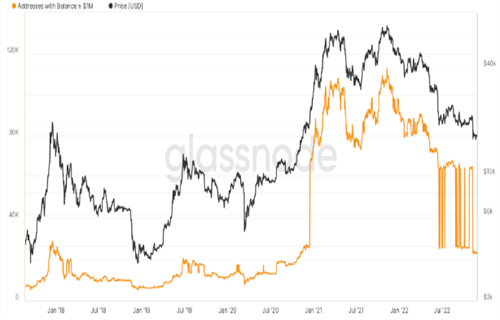比特币百万富翁钱包在BTC价格熊市之年下跌80%-第2张图片-欧意下载