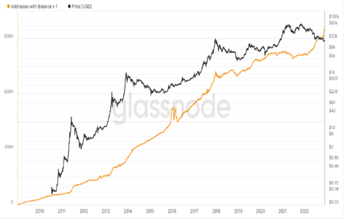 比特币百万富翁钱包在BTC价格熊市之年下跌80%-第4张图片-欧意下载