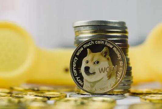 欧意交意平台下载-官方怎么买狗狗币？什么平台可以买卖doge-第3张图片-欧意下载