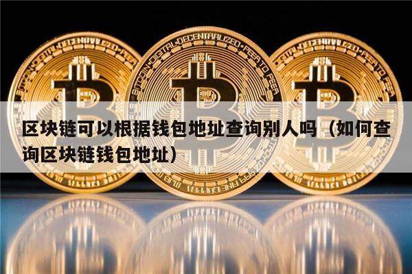 区块链可以根据钱包地址查询别人吗（如何查询区块链钱包地址）-第1张图片-欧意下载