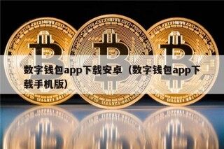 数字钱包app下载安卓（数字钱包app下载手机版）