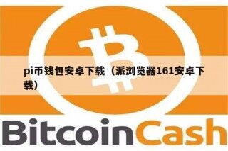 pi币钱包安卓下载（派浏览器161安卓下载）