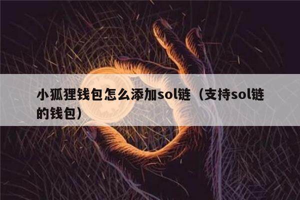 小狐狸钱包怎么添加sol链（支持sol链的钱包）-第1张图片-欧意下载