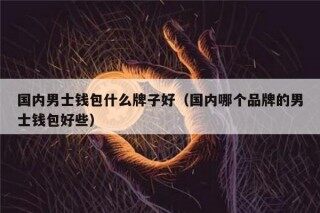 国内男士钱包什么牌子好（国内哪个品牌的男士钱包好些）