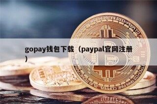 gopay钱包下载（paypal官网注册）