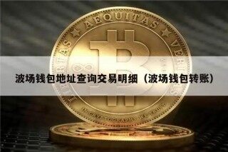 波场钱包地址查询交易明细（波场钱包转账）