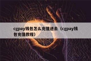 cgpay钱包怎么充值进去（cgpay钱包充值教程）