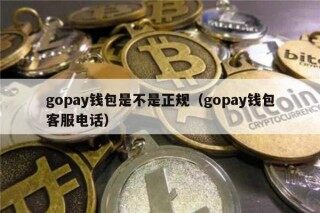 gopay钱包是不是正规（gopay钱包客服电话）