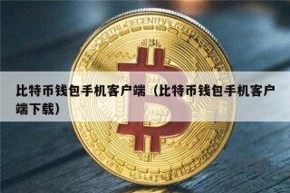 比特币钱包手机客户端（比特币钱包手机客户端下载）