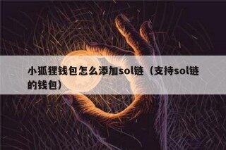 小狐狸钱包怎么添加sol链（支持sol链的钱包）
