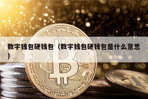 数字钱包硬钱包（数字钱包硬钱包是什么意思）-第1张图片-欧意下载