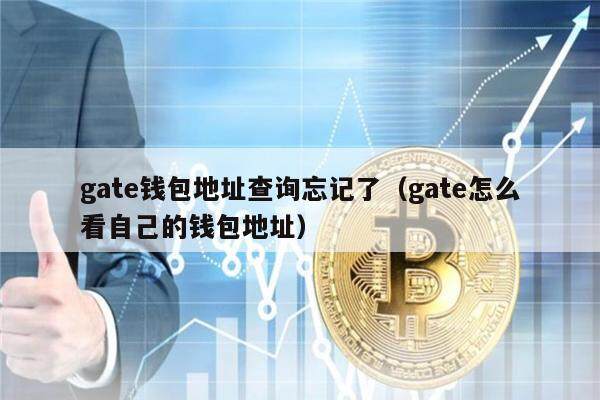gate钱包地址查询忘记了（gate怎么看自己的钱包地址）-第1张图片-欧意下载