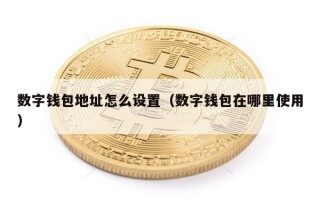 数字钱包地址怎么设置（数字钱包在哪里使用）
