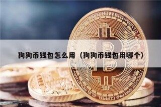 狗狗币钱包怎么用（狗狗币钱包用哪个）