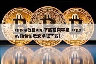 cgpay钱包app下载官网苹果（cgpay钱包论坛安卓版下载）