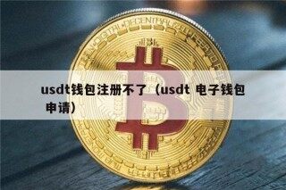 usdt钱包注册不了（usdt 电子钱包 申请）