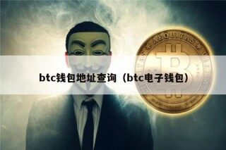 btc钱包地址查询（btc电子钱包）