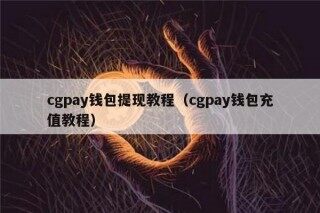 cgpay钱包提现教程（cgpay钱包充值教程）