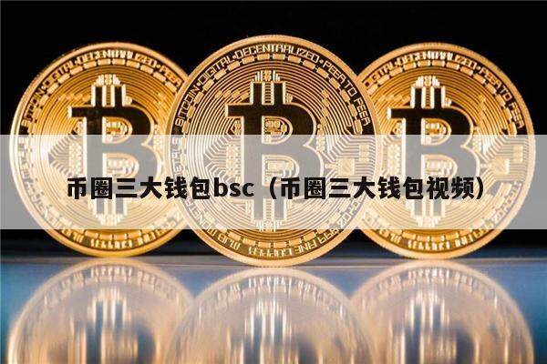 币圈三大钱包bsc（币圈三大钱包视频）-第1张图片-欧意下载