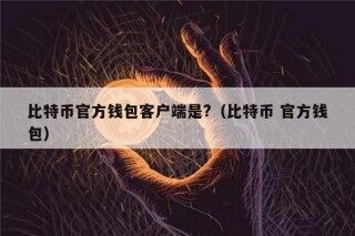 比特币官方钱包客户端是?（比特币 官方钱包）