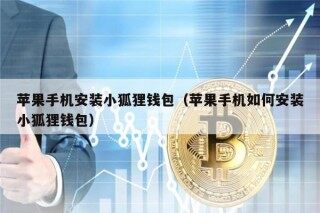 苹果手机安装小狐狸钱包（苹果手机如何安装小狐狸钱包）