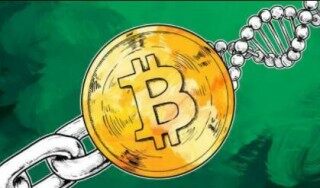 唯链币今日价格(唯链币今日行情价格)