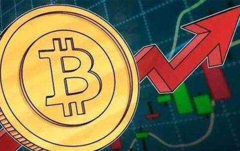 topay钱包app下载|topay钱包v8.1.9安卓版下载-第2张图片-欧意下载