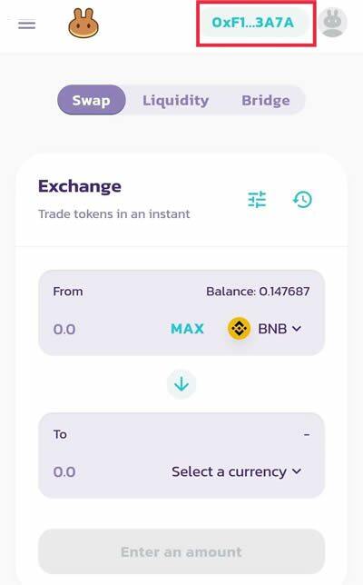 PancakeSwap交易所支持哪些钱包?PancakeSwap怎么买币?-第4张图片-欧意下载