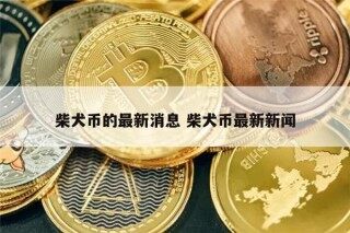2022柴犬币几月份开始涨(狗狗币屎币暴涨出圈 奇怪概念的小众币风险几何)