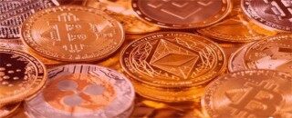 TARA币今日最新价格行情