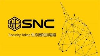 SNC币今日最新价格行情