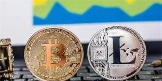 pidog币(pig币怎么下载)