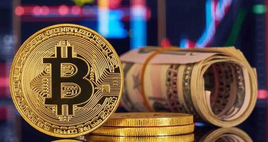 比特币的目的是什么：美元还是投机？-第1张图片-欧意下载
