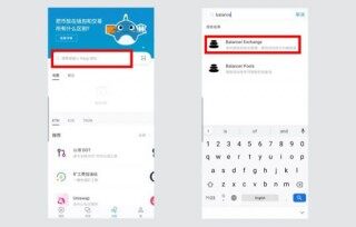 DbFi项目及使用教程:手把手教你使用Balancbr