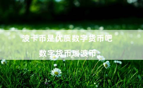 波卡币是优质数字货币吧（数字货币瑞波币）-第1张图片-欧易下载