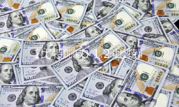 1比特币购买力-第1张图片-欧易下载
