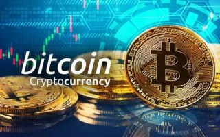 比特币隔离见证交易格式(比特币采用什么样子的交易方式)