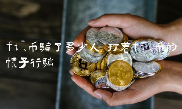 打着fil币的幌子行骗-第1张图片-欧易下载