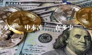 中本冲币现在多少钱一个