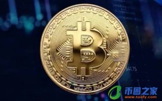 shib能涨到1美元(shib能到一美元吗)