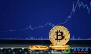 rp怎么玩(R怎么玩)