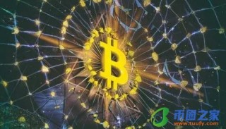 兀币最新消息与新闻(兀币最新消息与新闻兀币)